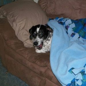 Meet your Posher, Lori